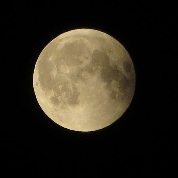 friederike graben mondfinsternis